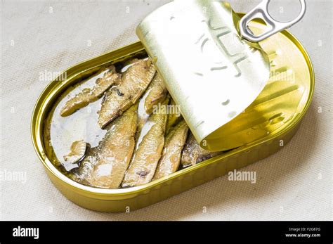Canned Sardines Hi Res Stock Photography And Images Alamy