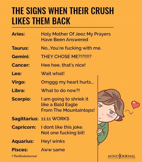 The Zodiac Signs When Their Crush Likes Them Back