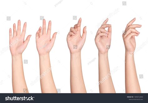 Set Woman Hands Isolated On White Stock Photo 1405012043 Shutterstock