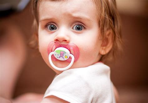 Little Girl With A Pacifier Portrait Stock Photo Image Of Offspring