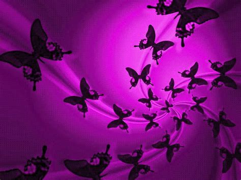 50 Free Butterfly Screensavers And Wallpapers Wallpapersafari