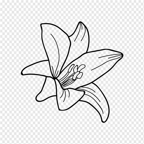 Lily Flower SVG Lilium Flower SVG Lily SVG Flower Svg Lily Etsy