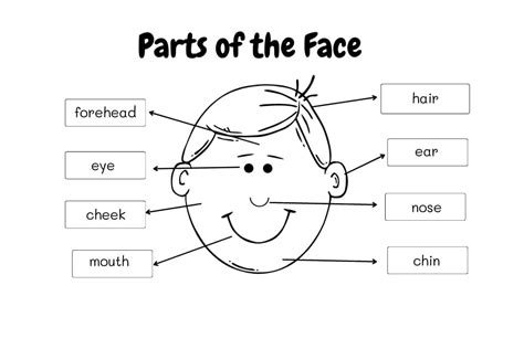 How Do You Say Face Parts In Chinese Silly Language