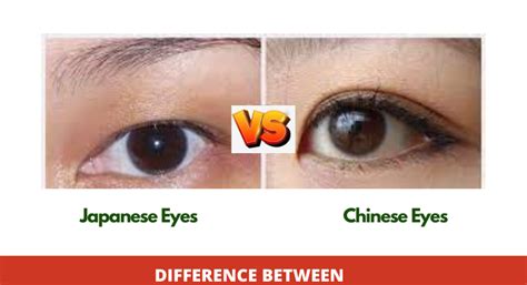 Japanese Vs Chinese Eyes What Is The Difference Diffbtw