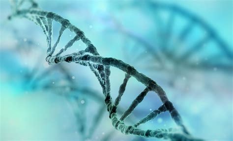 Scientists Identify A Gene Critical For Male Sex Development Scitechdaily