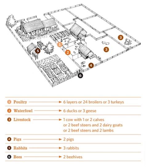 Layout Of A Half Acre Homestead Farm Layout Acre Homestead Homestead Layout