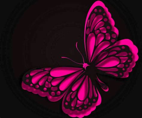 Love It Pink And Black Butterfly Hot Pink Butterfly Butterfly