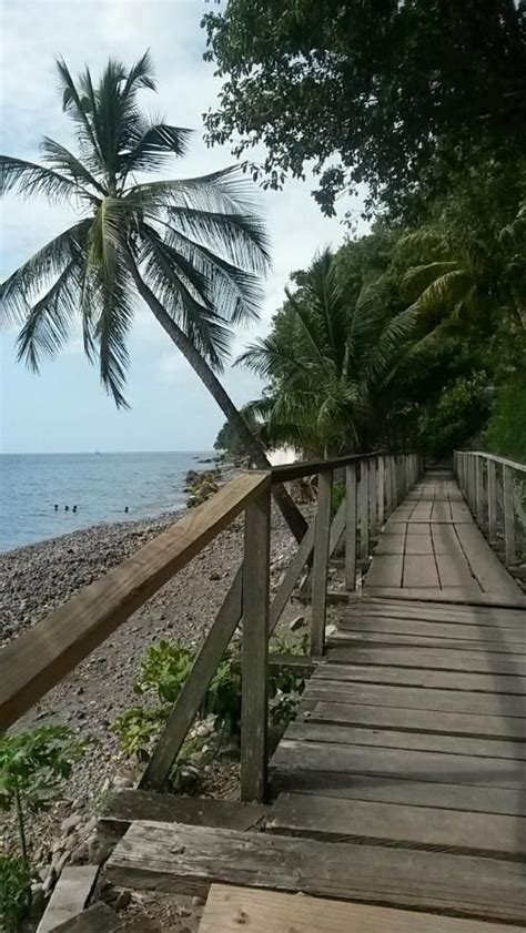 Champagne Beach Roseau Dominica Roseau Dominica Champagne Beach