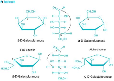 Galactose Formula Structure Properties Uses And Health Hazards