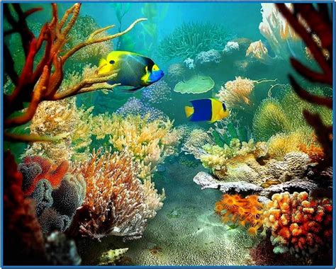 3d Tropical Fish Aquarium Iii Screensaver Kingsambe