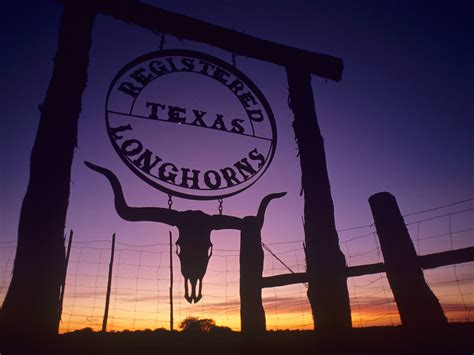 20+ Texas Wallpapers, Backgrounds, Images | FreeCreatives