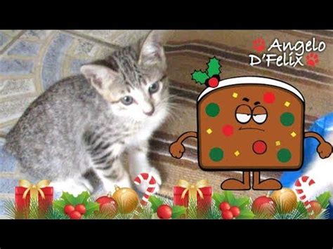 Crab tree crab cake crablike. Can Cat Eat Christmas Food?: Fruitcake - YouTube