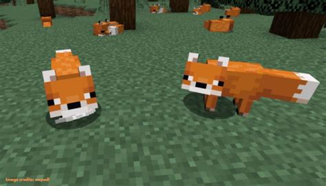 How to tame a fox in minecraft, in this video i will show you how to tame a fox or foxes in minecraft 1.15.1. Want to tame a Fox in Minecraft. This is how to do it!