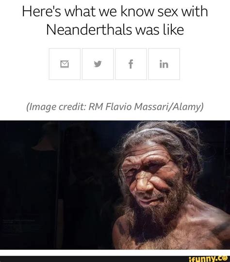 Here S What We Know Sex With Neanderthals Was Like Image Credit Rm Flavio Ifunny