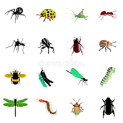Conjunto De Insectos Ilustración Del Vector Ilustración De Repugnante