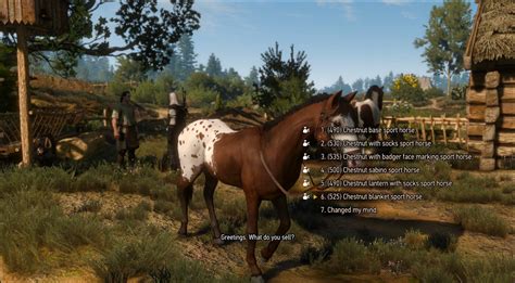 The Stable Of The Witcher 3 An Elaborate New Horse Customization Mod