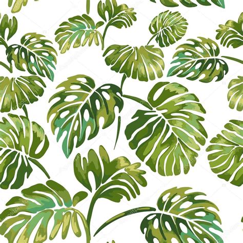 Jungle Leaves On A White Background Tropical Green Monstera Stock