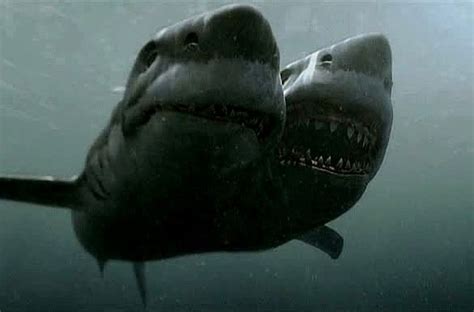 Special Series Deep Dive Multi Headed Shark Attack — Horror Bound