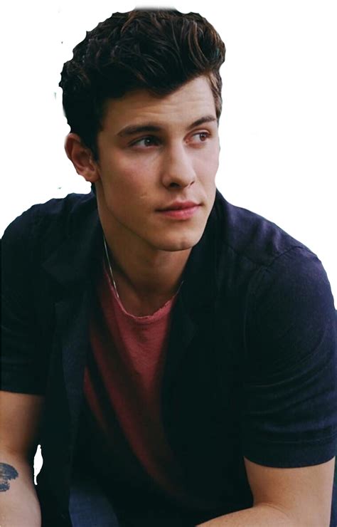 Shawn Mendes Clipart Large Size Png Image Pikpng