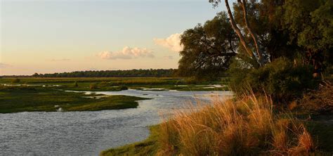 Bwabwata National Park in Namibia, Safari2Go