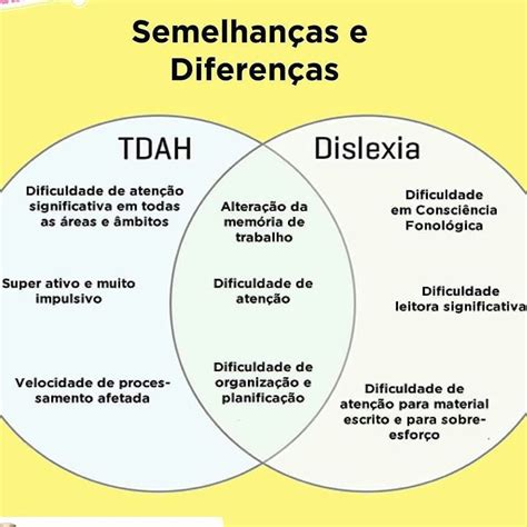 Quais Semelhanças E Diferenças Podem Ser Observadas Nas Imagens