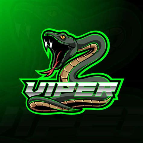 Viper Snake Head Background Illustrations Royalty Free Vector Graphics