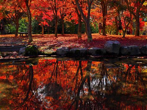 名站推薦 tips：2021年6月24日 已更新失效連結 total 13 ». 紅葉の美しい公園：出早公園（長野県岡谷市）| PARKFUL公園を ...