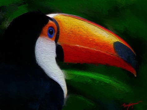 Tropical Toucan Digital Art By Anthony Fishburne