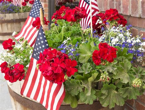 Patriotic Flower Garden Ideas Planting With Red White And Blue Flowers