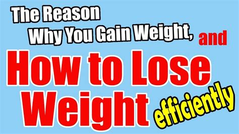 The Reason Why You Gain Weight And How To Lose Weight Efficiently Youtube