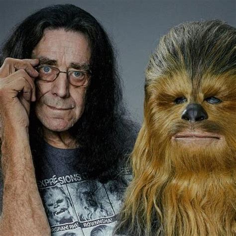Chewbacca Unforgettable Peter Mayhew Needed Protection During Star Wars 6