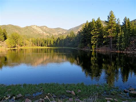 Rustic cabins set among pine trees. Pine Valley Walking Trail | Santa Clara River Walk