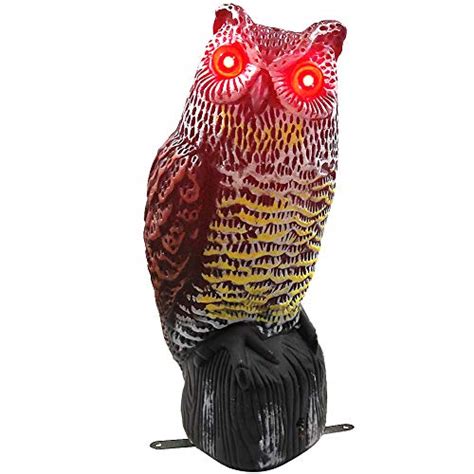 Top 10 Best Selling List For Do Fake Owls Keep Cats Out Of Garden