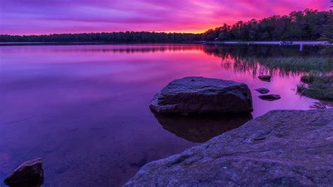 Purple Sky 3d Nature