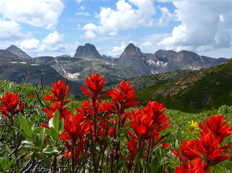 Alpine Meadows Photograph By Priscilla Sherman Fine Art America