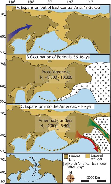 Maps Depicting Each Phase Of A Three Step Early Human Migrations For
