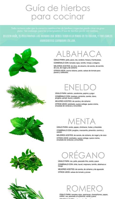 La menta, el perejil, el cilantro, el tomillo, el orégano, el estragón. Hierbas para tener a mano en la cocina