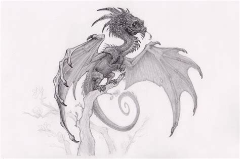 Xd cant wait to see it! Drawing a tiny dragon · 3dtotal · Learn | Create | Share