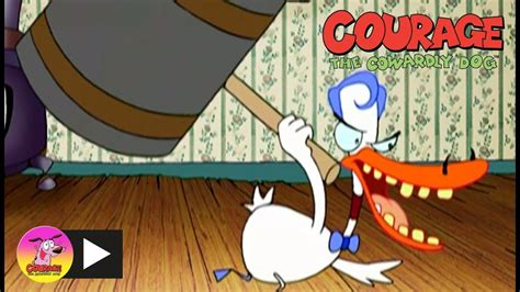 Courage The Cowardly Dog Duck Doctor Cartoon Network Youtube