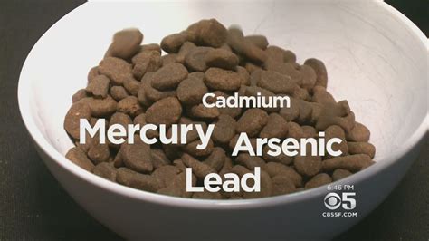 Lead Mercury Arsenic Cadmium Found In Popular Pet Foods Youtube