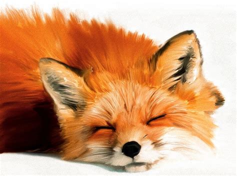 Sleeping Fox Photoshop Painting Photoshop Painting Fox Painting