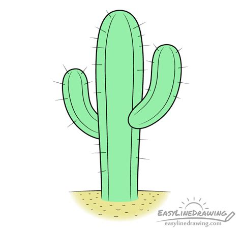 How To Draw A Cactus Step By Step Easylinedrawing