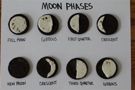 Moon Phases Image 1311097 On