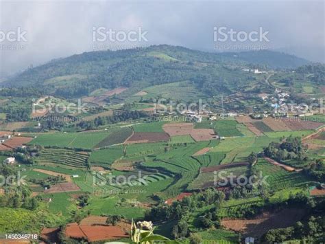Spectacular View Of Agricultural Fields In Nilgiri Mountains Ooty Tamil