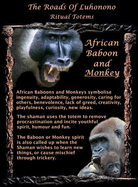 ∆ Spirit Animalsafrican Baboon And Monkey Totem Spirit Animal