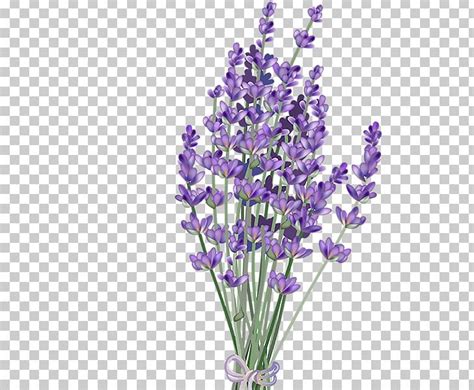 Library of lavender clip freeuse library png png files ... You can now download for free this lavender bunch close up transparent png image.