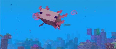 Everything You Need To Know About Axolotls In Minecraft Cyberpost