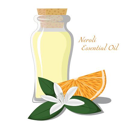Check spelling or type a new query. Orange Tree Clip Art, Vector Images & Illustrations - iStock