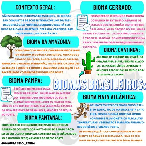Mapa Mental Biomas Brasileiros Ensino