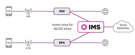 Ims For 4g And 5g Voice